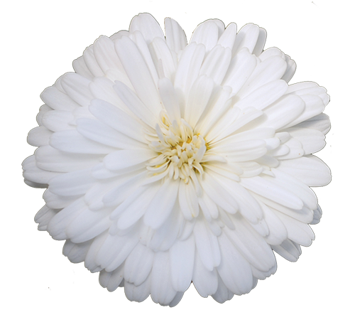 Super Duper <span class="pbr-text">PBR</span> - Image 2