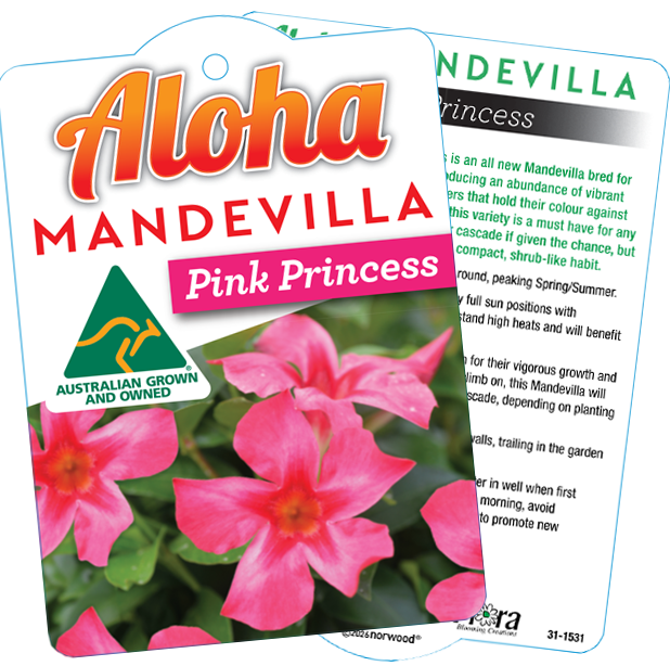 <small>Aloha Mandevilla</small> <br>Pink Princess <span class="pbr-text">PBR</span> - Image 4